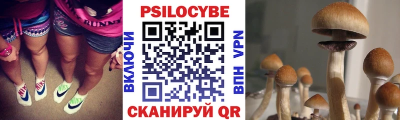 магазин продажи   Кодинск  Галлюциногенные грибы мухоморы 
